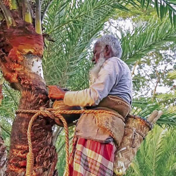 মোহাম্মদ করিম